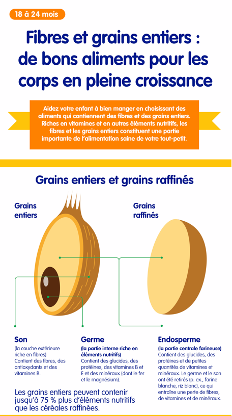 Fibres et grains infographic