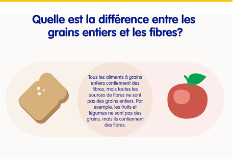 Fibres et grains 3 infographic