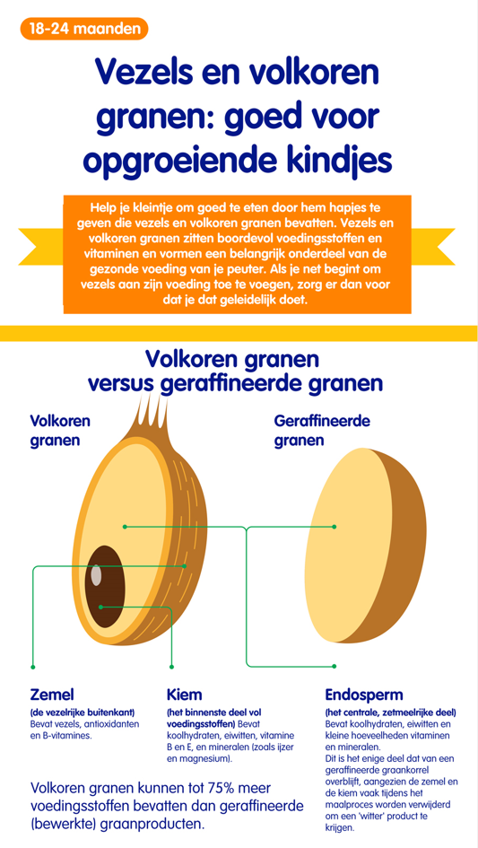 Vezels en volkoren infographic