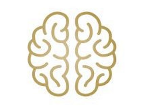 Développement cérébral et cognitif normal