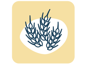 Graphic logo: three stylized blue wheat stalks on white blob, beige rounded square
