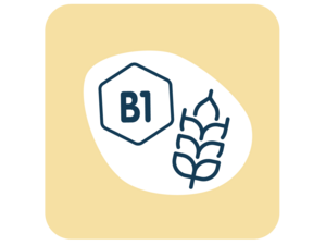 Icon: hexagon labeled B1 and wheat stalk on a white oval, beige rounded-square background