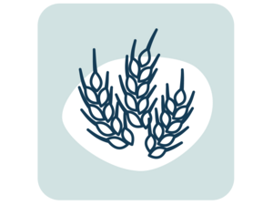 Graphic icon of three stylized wheat stalks on white oval, pale green rounded square background