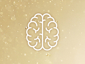 Brain development