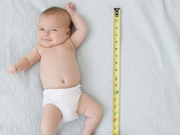 Courbe_croissance_bébé Courbe_croissance_bébé