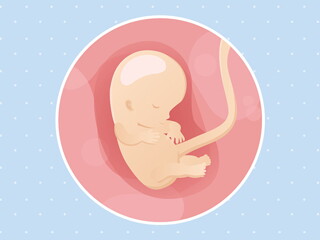 pregnancy-belly-fetal-development-week-10 pregnancy-belly-fetal-development-week-10