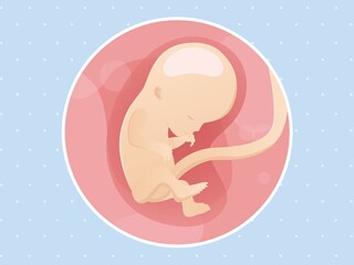 pregnancy-belly-fetal-development-week-12