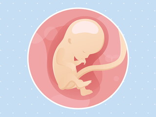 pregnancy-belly-fetal-development-week-12 pregnancy-belly-fetal-development-week-12