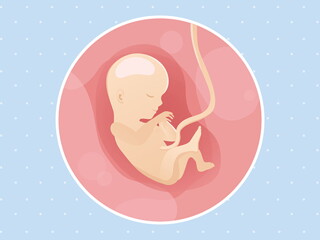pregnancy-belly-fetal-development-week-15 pregnancy-belly-fetal-development-week-15