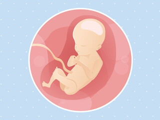 pregnancy-belly-fetal-development-week-21 pregnancy-belly-fetal-development-week-21