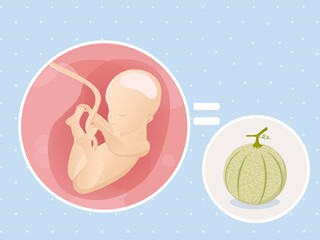 pregnancy-belly-fetal-development-week-25