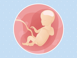 pregnancy-belly-fetal-development-week-26