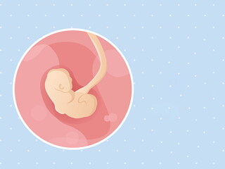 pregnancy-belly-fetal-development-week-4 pregnancy-belly-fetal-development-week-4