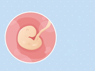 pregnancy-belly-fetal-development-week-5 pregnancy-belly-fetal-development-week-5