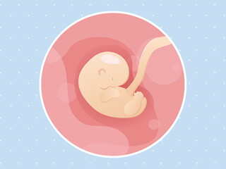 pregnancy-belly-fetal-development-week-6 pregnancy-belly-fetal-development-week-6