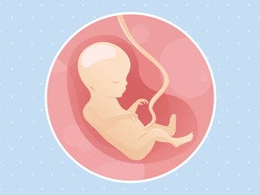 pregnancy-belly-fetal-development-week-18