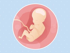 pregnancy-belly-fetal-development-week-21
