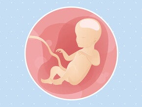 pregnancy-belly-fetal-development-week-26