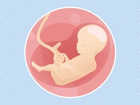 pregnancy-belly-fetal-development-week-27