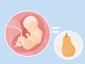 pregnancy-belly-fetal-development-week-29 pregnancy-belly-fetal-development-week-29