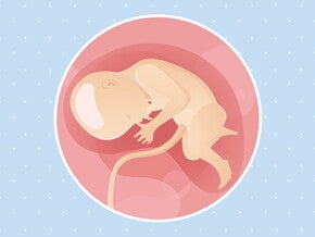pregnancy-belly-fetal-development-week-33