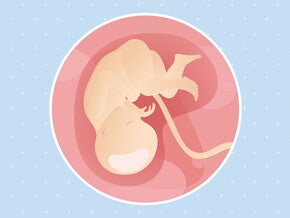 pregnancy-belly-fetal-development-week-35