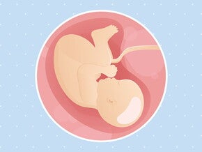 pregnancy-belly-fetal-development-week-40 pregnancy-belly-fetal-development-week-40