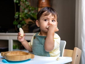 Bébé mange des morceaux de fruit tout seul dans une chaise haute