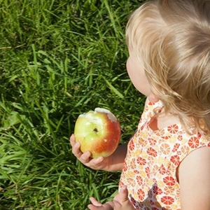 Quel fruit donner à mon bébé ? Quel fruit donner à mon bébé ?
