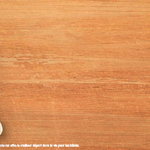 nestlebaby_plopsa_landingpage