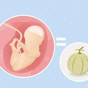 pregnancy-belly-fetal-development-week-25