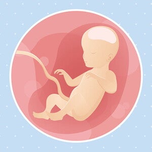 pregnancy-belly-fetal-development-week-26