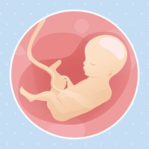pregnancy-belly-fetal-development-week-27