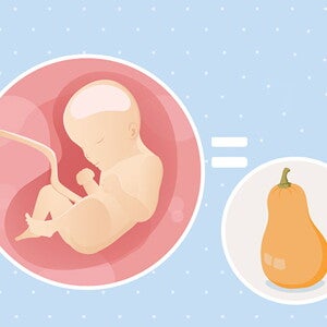 pregnancy-belly-fetal-development-week-29