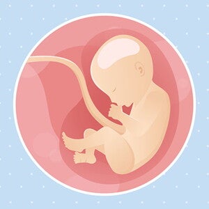 pregnancy-belly-fetal-development-week-30