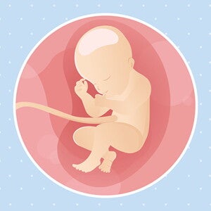 pregnancy-belly-fetal-development-week-31