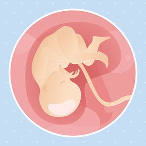 pregnancy-belly-fetal-development-week-35