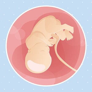 pregnancy-belly-fetal-development-week-36