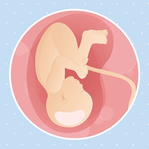 pregnancy-belly-fetal-development-week-38