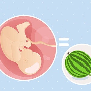 pregnancy-belly-fetal-development-week-39