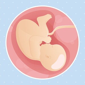pregnancy-belly-fetal-development-week-40
