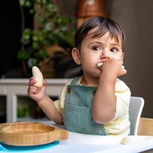 Bébé mange des morceaux de fruit tout seul dans une chaise haute