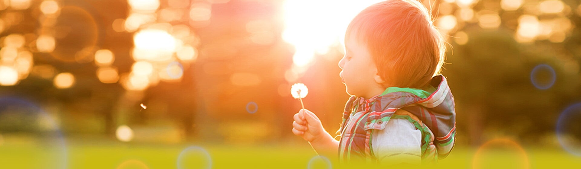 Allergies tool Allergies tool