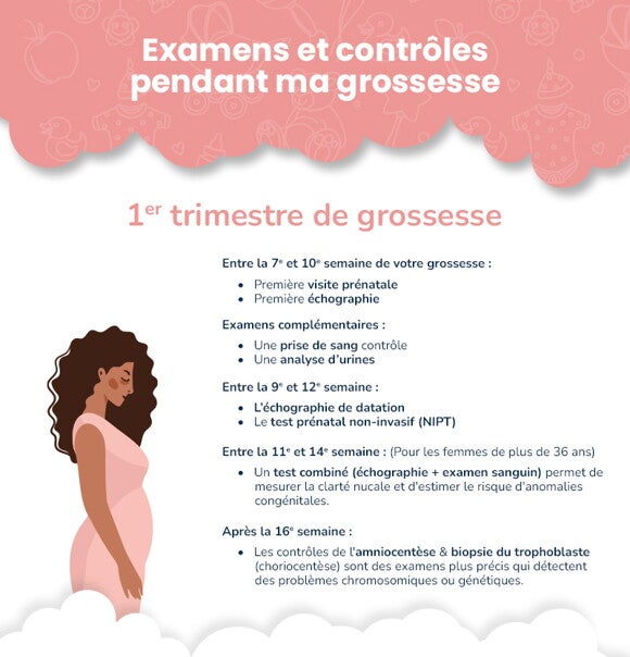 Banner Tests et Contrôles de grossesse 1e trimestre Tests et contrôles pendant grossesse 1e trimestre semaines_fr