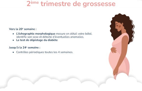 Tests et contrôles pendant grossesse 2e trimestre semaines_fr