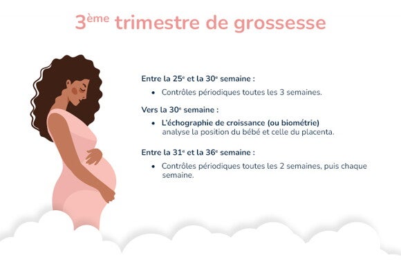 Banner Tests et Contrôles de grossesse 3e trimestre Tests et contrôles pendant grossesse 3e trimestre semaines_fr