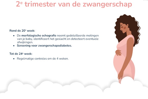 Tests en controles tijdens zwangerschap 2de trimester weken_nl
