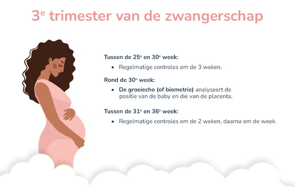 Tests en controles tijdens zwangerschap 3de trimester weken_nl