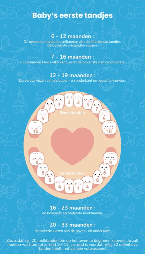 De eerste melktanden van een kind De centrale snijdtanden_voortanden_kiezen en hoektanden