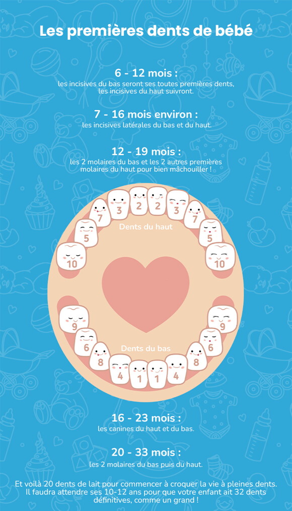 Tout savoir sur les premières dents de bébé